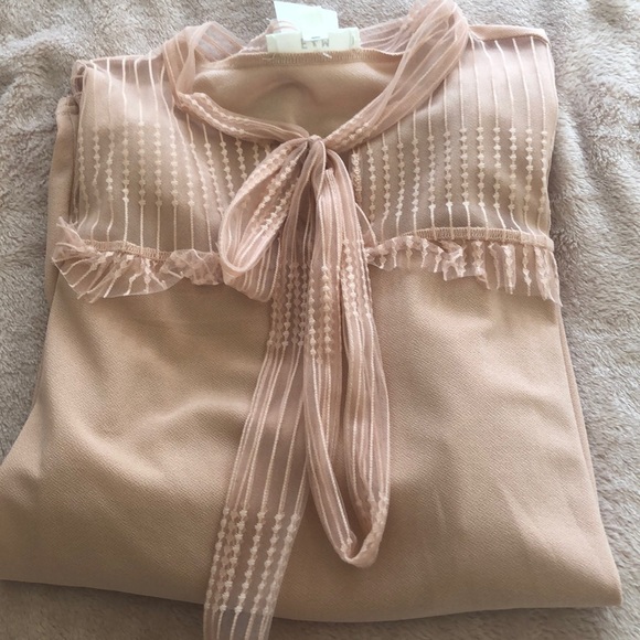 NWT pale pink sheer neck & sleeves top with ties - Picture 6 of 12